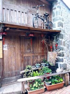 Vrt pred nastanitvijo Matsu 1st Hostel