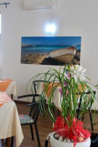 Fotografie z fotogalerie ubytování Hotel Tuo Mare v destinaci Silvi Marina + 37 fotografií
