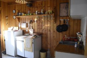 a kitchen with wooden walls and a refrigerator and a sink at Planinska kuća Divčibajka in Valjevo