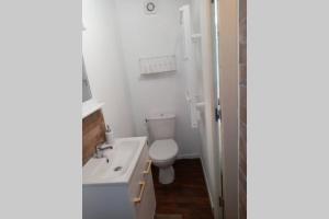 La salle de bains blanche est pourvue de toilettes et d'un lavabo. dans l'établissement Appartement deux pièces - coeur de ville quartier cathédrale, à Tours