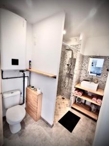 ein Bad mit einem WC, einem Waschbecken und einer Dusche in der Unterkunft Lodging Gîte Au Milieu des Vignes & des Étoiles in Saint-Jean-de-Fos