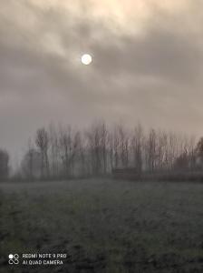 Fotografia z galérie ubytovania Zakątek Żurawi 2 v destinácii Świnoujście