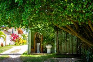 A garden outside Pousada Sitio Araça