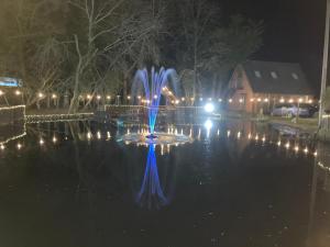 a fountain in the middle of a pond at night at The spinney home stay in Leamington Spa