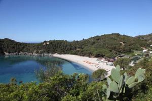 a scenic view of a beach with palm trees at Hotel Lo Scirocco in Campo nell'Elba