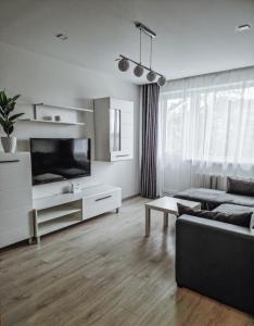 a living room with a couch and a television at Luxury Apartments in City Center, Šiauliai in Šiauliai