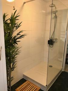 eine Dusche mit Glastür neben einer Pflanze in der Unterkunft Le Panorama in Fréjus