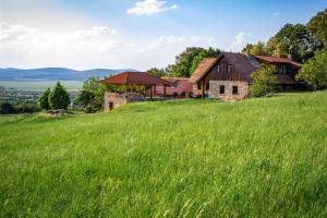 an old house on a hill with a green field at Takács tanya Nemesvámos in Nemesvámos