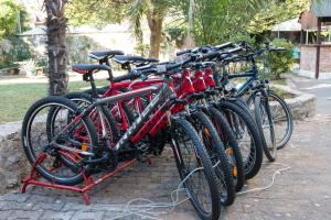 a row of bikes parked next to each other at BigBlue house in Veli Lošinj