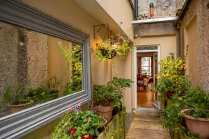 Une allée avec des plantes en pot sur le côté d'un bâtiment dans l'établissement Foyles Hotel, à Clifden