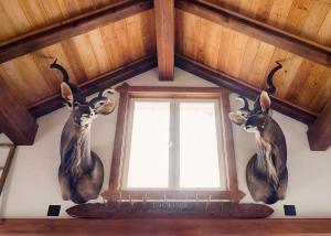 two deer heads on a wall next to a window at Tackork Gård & Marina in Nauvo