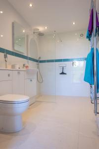 a bathroom with a toilet and a glass shower at The Gatehouse Axminster in Axminster