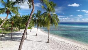 a beach with palm trees and the ocean at Coconut Court Beach Hotel in Bridgetown