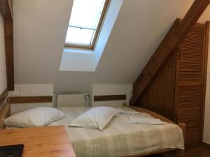 1 dormitorio con 1 cama y tragaluz en Pension Green Park, en Brasov