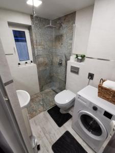 a bathroom with a toilet and a sink and a shower at Apartament ALPa Kudowa Zdrój in Kudowa-Zdrój