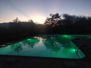Piscina en o cerca de Oldonyo Orok Lodge
