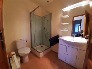 een badkamer met een douche, een toilet en een wastafel bij Le Clos de l'Atre in La Chaise-Dieu