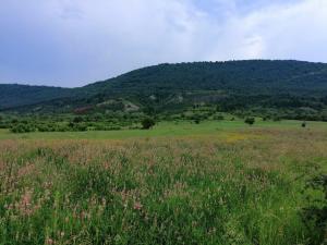 Imagem da galeria de Etno kuca Nikolov em Dimitrovgrad