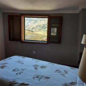 Schlafzimmer mit einem Bett und einem Fenster in der Unterkunft Casa Cabanas do Douro in Torre de Moncorvo