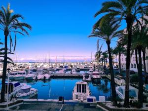 マニルバにあるDuquesa Seafront Marinaの椰子の木が植えられた港の船付きマリーナ +17枚の写真