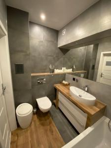 y baño con aseo y lavamanos. en Apartament Centrum- Art&Design, en Konin