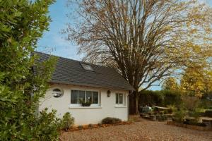 une maison blanche avec un grand arbre devant elle dans l'établissement L'Annexe du Tilleul, à Septeuil