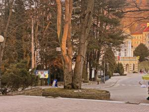 Hostia v ubytovaní Apartament Zdrój Lądek