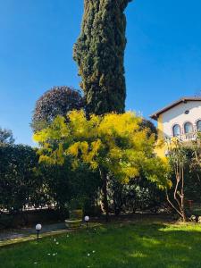 Zahrada ubytování Casa Mimosa