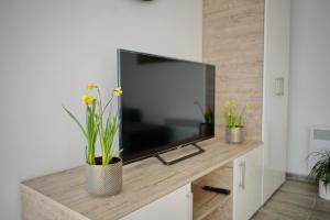 A television and/or entertainment centre at Panoráma házikó