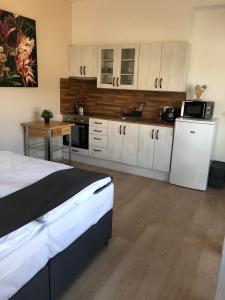 a bedroom with a bed and a kitchen at Studia Imrvere in Žamberk