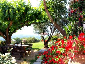 a garden with a bench and red flowers at Villa Papoura Homeleader in Delimanolianá