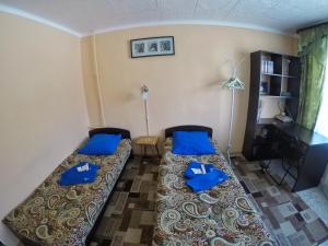 ペトロパブロフスク・カムチャツキーにあるApartment on Tushkanova 17の青い枕付きのベッド2台が備わる客室です。