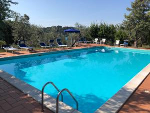 Bazén v ubytovaní Agriturismo Camiano Piccolo alebo v jeho blízkosti
