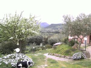 Loodusmaastik of the bed and breakfast lähedal
