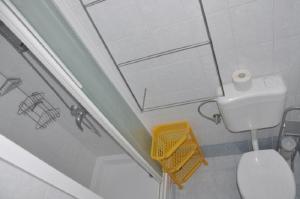 La petite salle de bains est pourvue d'une douche et de toilettes. dans l'établissement Apartments Petar - 6m from the sea, à Barbat na Rabu