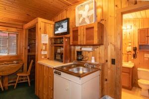 a kitchen with a sink in a wooden cabin at Teton Valley Cabins in Driggs