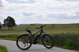 una bicicleta estacionada en una carretera junto a un campo en Landidyll Hotel Erbgericht Tautewalde, en Wilthen