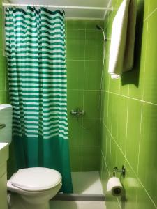 a green bathroom with a toilet and a shower at Midway Point Apts in Heraklio Town