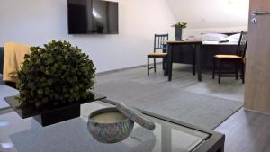 salon z rośliną na szklanym stole w obiekcie Rozália Vendégház 2 w mieście Sarród