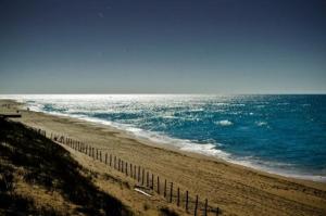 una playa con una valla junto al océano en PIERRE ET VACANCES STUDIO, en Moliets-et-Maa