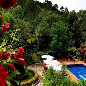 un jardín con piscina y sombrilla blanca en Apartamentos El Parral, en Arroyo Frío