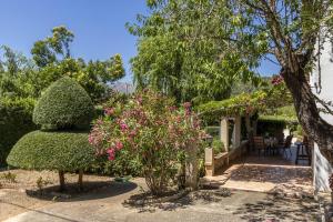 Fotografie z fotogalerie ubytování Villa Sort v destinaci Pollença