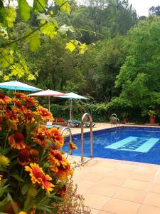 una piscina con sombrillas y flores junto a ella en Apartamentos El Parral en Arroyo Frío