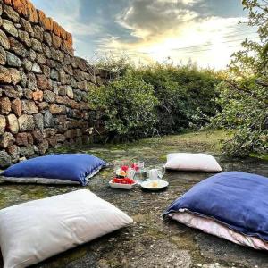 A garden outside Agricola Pineda