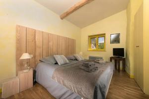 a bedroom with a large bed and a television at GITE DU ROY D'AMONT (Plaine de l'Ain) in Lagnieu