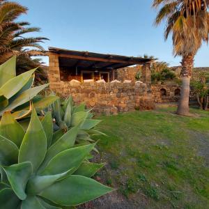 A garden outside Agricola Pineda