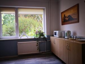 a kitchen with a microwave and a window at KAMBARIŲ nuoma Kaune - in Kaunas