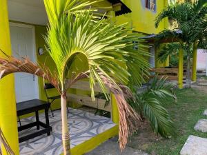 Fotografie z fotogalerie ubytování Tha Lagoon Spots CooL VyBz v destinaci Port Antonio