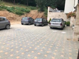 un gruppo di auto parcheggiate in un parcheggio di Borov park 3 a Velingrad