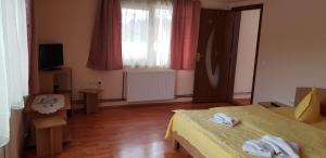 a room with a bed and a television and a window at Pensiunea Ilaria in Bran
